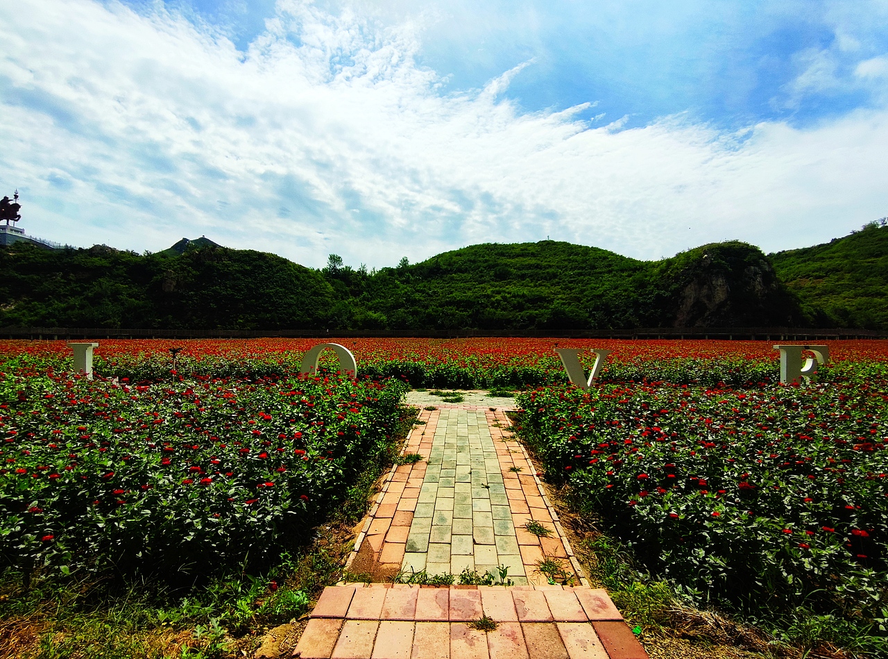 唯有山海天地与你不可辜负