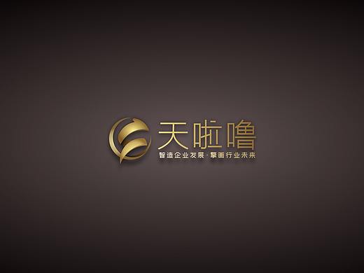 为“天啦噜网络科技”设计的LOGO