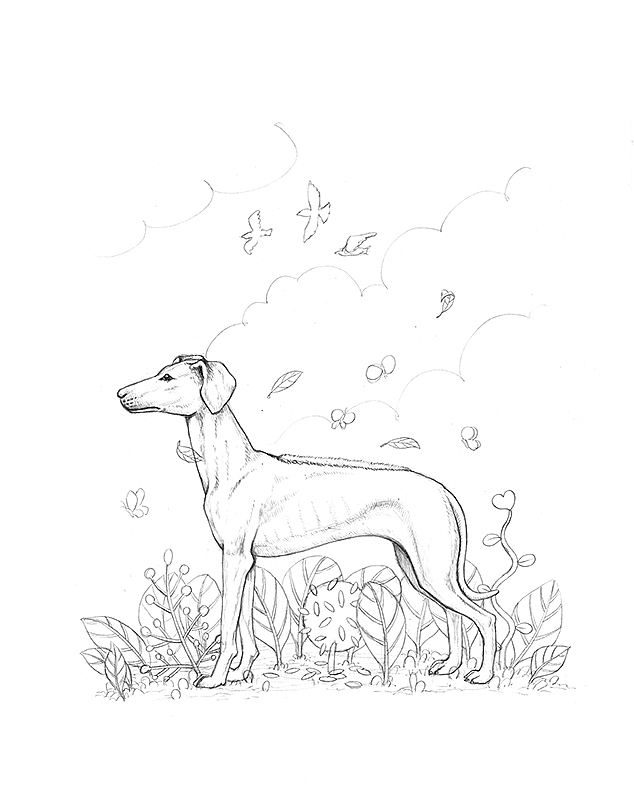 OY手绘：背脊犬（图ZMzY3NDUzNTI=） - 商业插画 - 站酷设计师欧阳鹏杰_OY原创素材 - 站酷ZCOOL