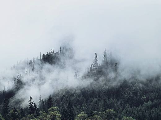 九寨归来不看水 山涧云雾尽收眼