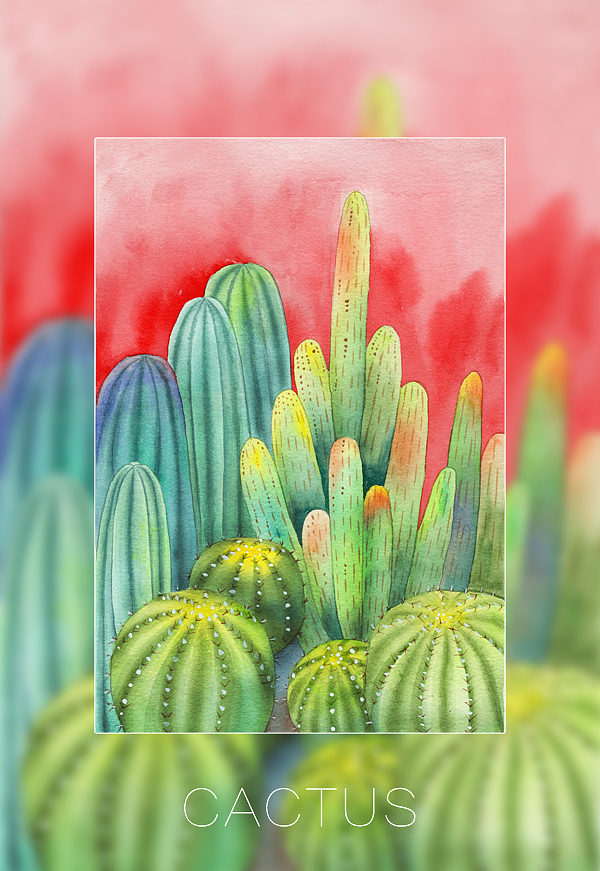 再来一波刺刺的仙人掌水彩画（图ZODE4MTg1NzY=） - 商业插画 - 站酷设计师董搞搞原创素材 - 站酷ZCOOL