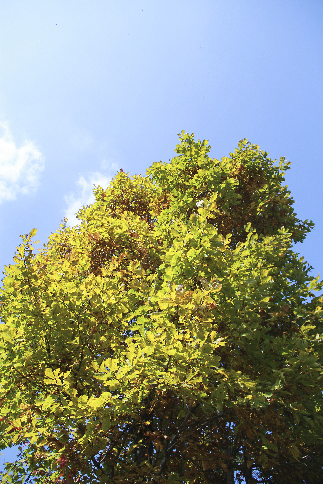 哈爾濱北方森林動物園（圖ZNzA5OTA1ODg=） - 風(fēng)光攝影 - 站酷設(shè)計師山山而川上的麥子原創(chuàng)素材 - 站酷ZCOOL
