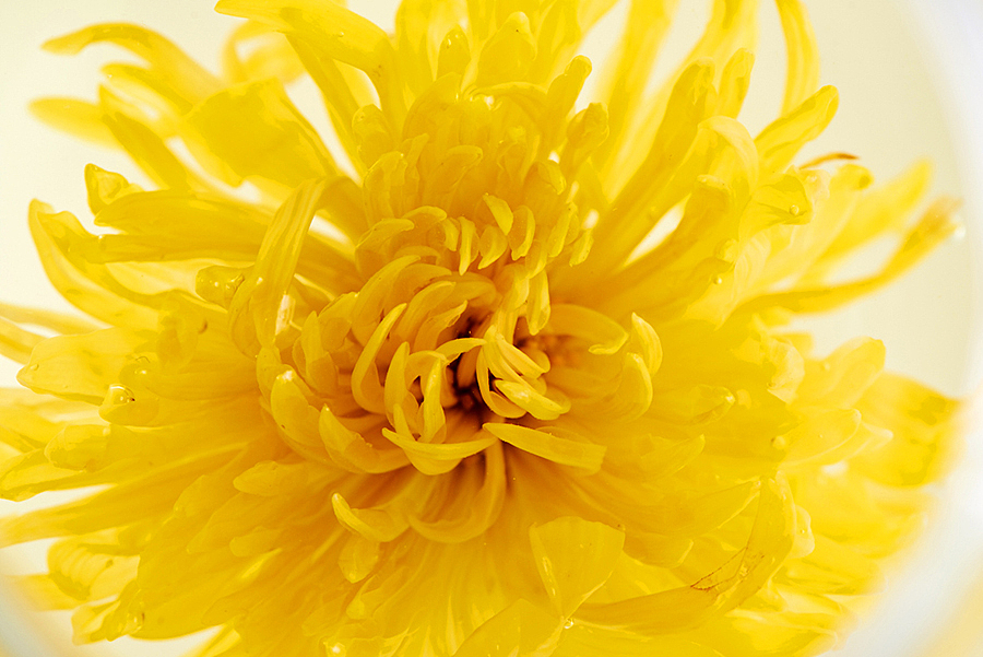 上行设计/ 江西亿品堂品牌商标与包装设计