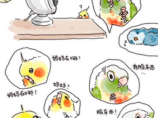 养鸟日记漫画（包浆版）（个人主页-ZNjg0Njk5MDg=） - 单幅漫画 - 站酷设计师是喳喳啊原创素材 - 站酷ZCOOL