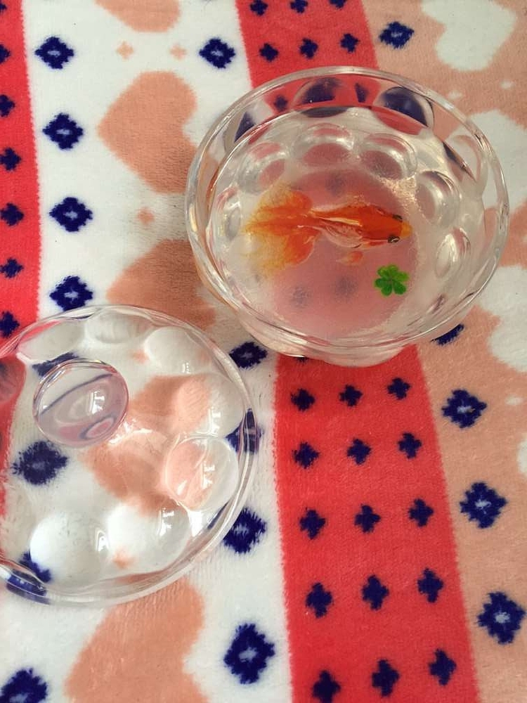 连年有鱼2016（图ZNDE5OTEyNzY=） - 工艺品设计 - 站酷设计师6律动7原创素材 - 站酷ZCOOL