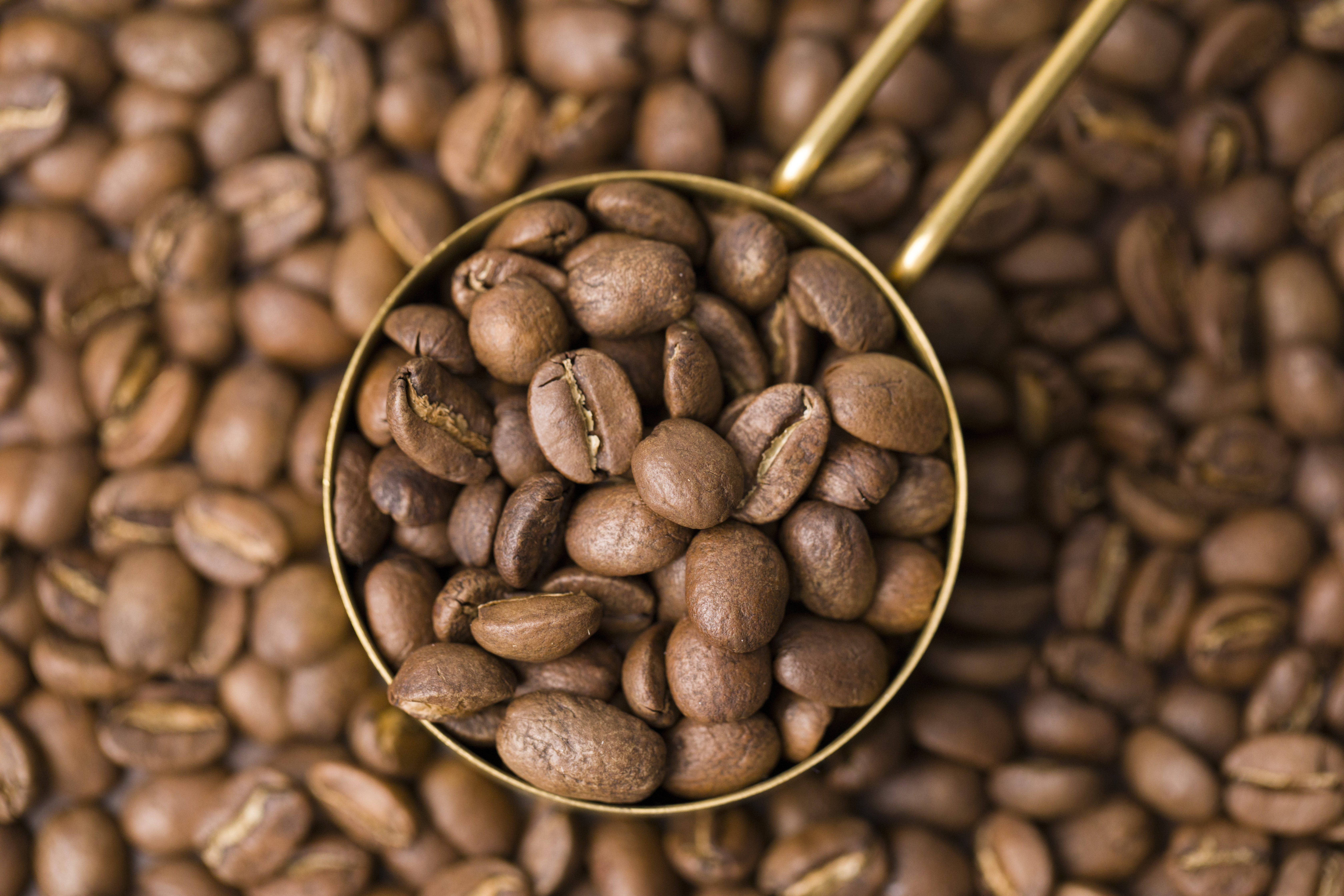 美食摄影 蓝山咖啡豆