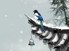 鹊啼声起瑞雪到