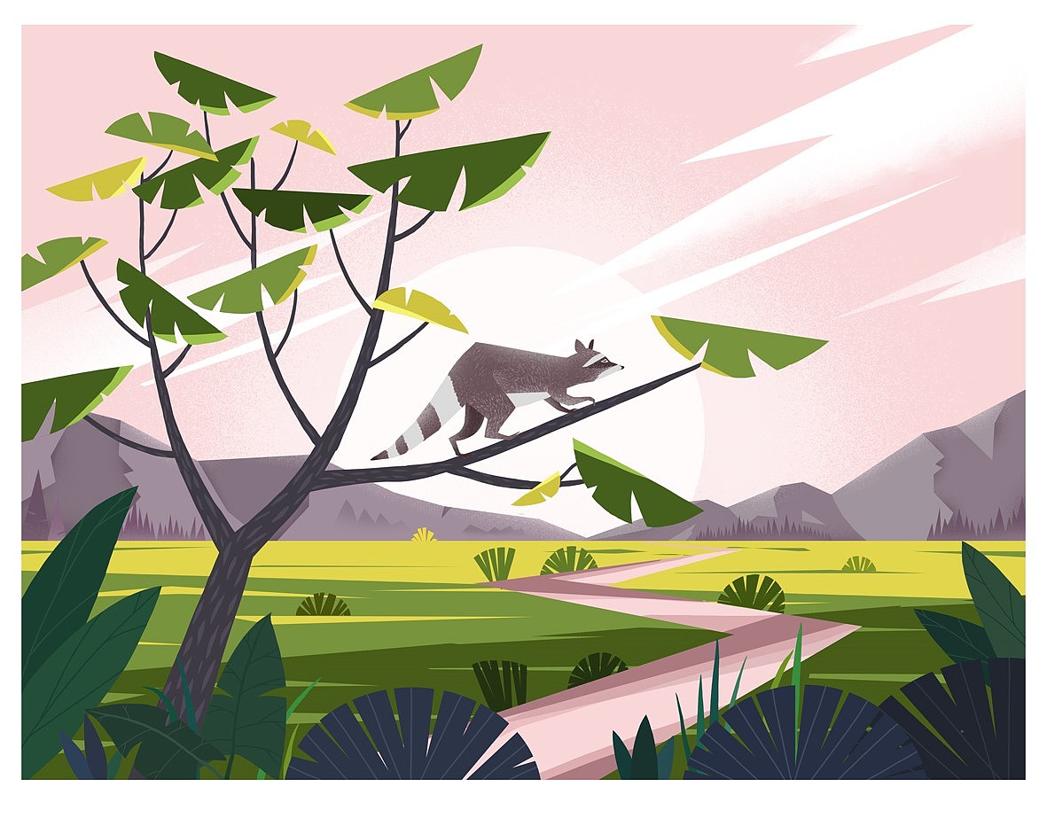 《动物与大自然》系列插画