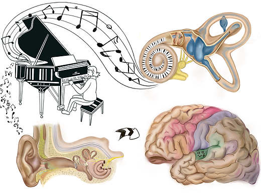 临摹（个人主页-ZNzEwMjk1Mjg=） - 商业插画 - 站酷设计师小鎙原创素材 - 站酷ZCOOL