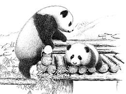 墙纸北欧