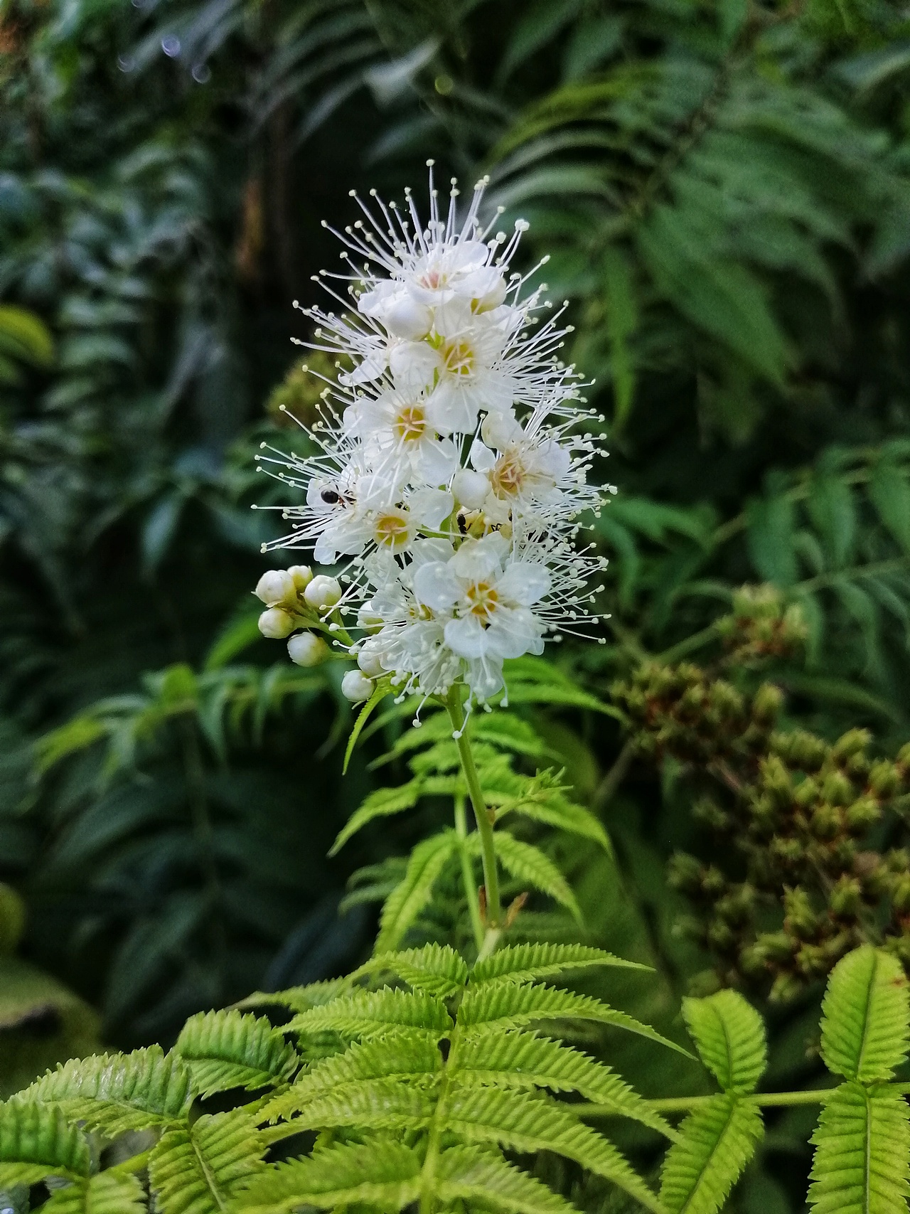 秋日胜春朝（图ZMTI5NDQxMzU2） - 风光摄影 - 站酷设计师于先生Plus10原创素材 - 站酷ZCOOL