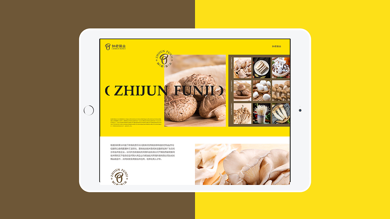 知君菌业品牌形象设计（图ZMjIyMDAyNDM2） - 品牌 - 站酷设计师90邦设计工作室原创素材 - 站酷ZCOOL