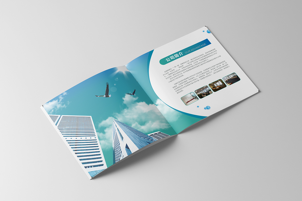 企业画册（图ZNjU0NDk3MjA=） - 书籍/画册 - 站酷设计师彭疯子原创素材 - 站酷ZCOOL