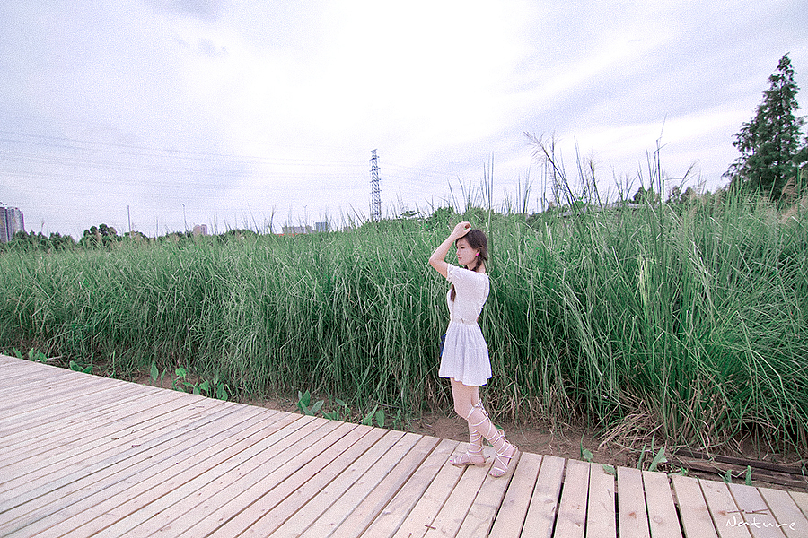 湿地公园咖啡厅