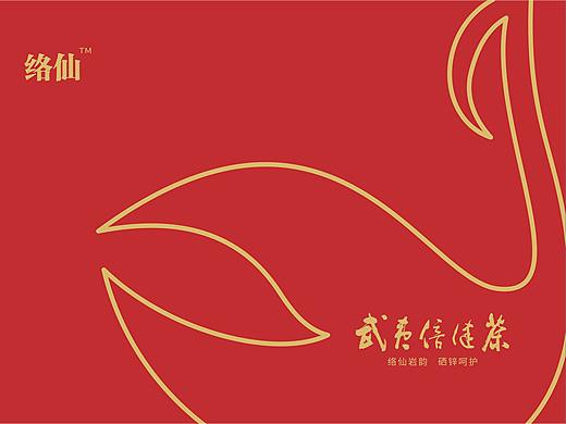 武夷倍健茶（個(gè)人主頁(yè)-ZNTAyMzM0MjA=） - 包裝 - 站酷設(shè)計(jì)師吾二吾設(shè)計(jì)原創(chuàng)素材 - 站酷ZCOOL