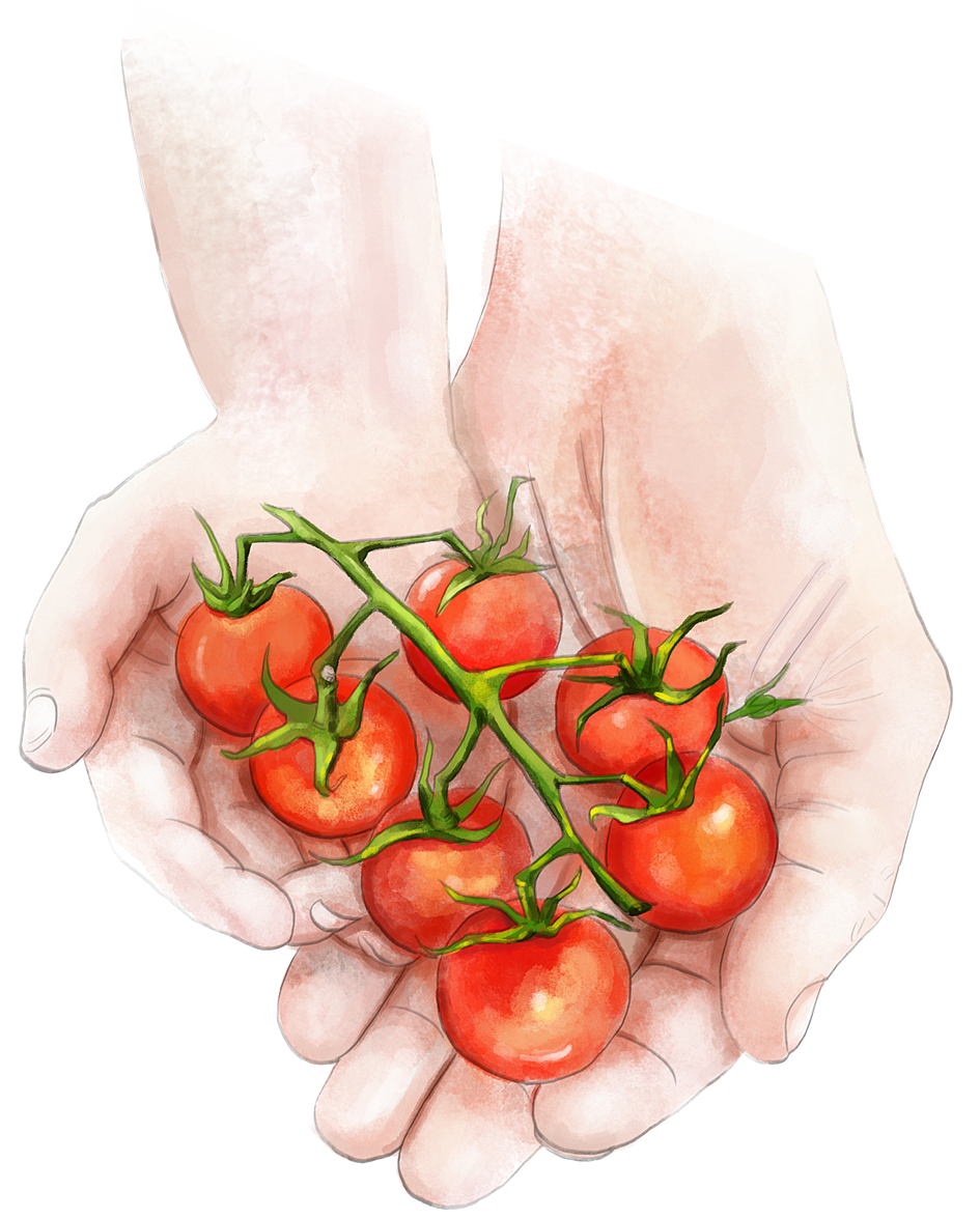 包装设计案例合集