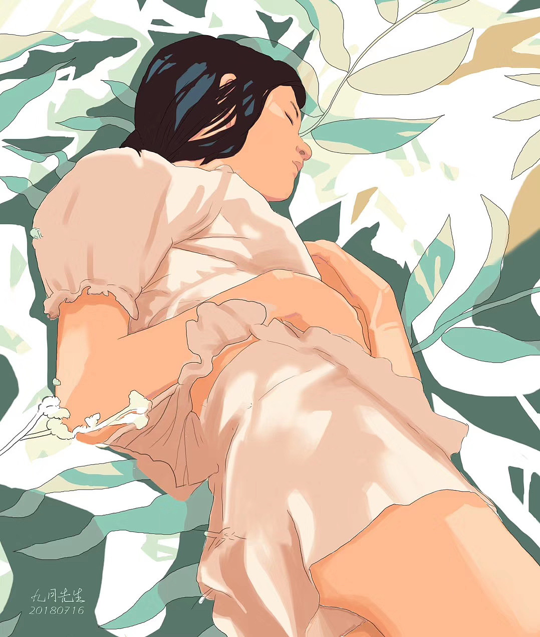 阳光与草地上的睡美人