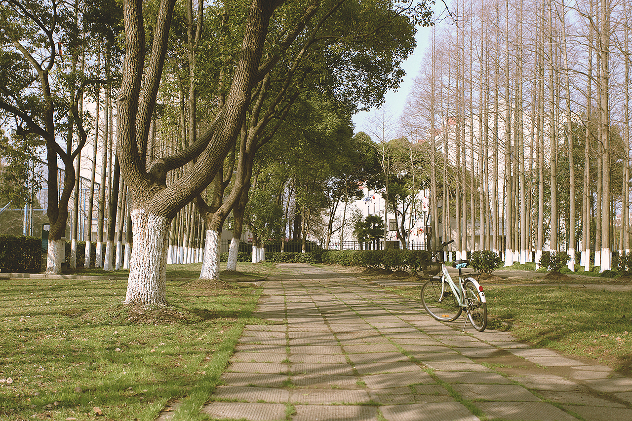 你好，上师大~（图ZMTU1NDc5NDA=） - 风光摄影 - 站酷设计师zhzxsc原创素材 - 站酷ZCOOL