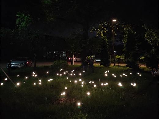 萤火虫夜游文旅灯光生产工厂专业生产户外动感萤火虫灯