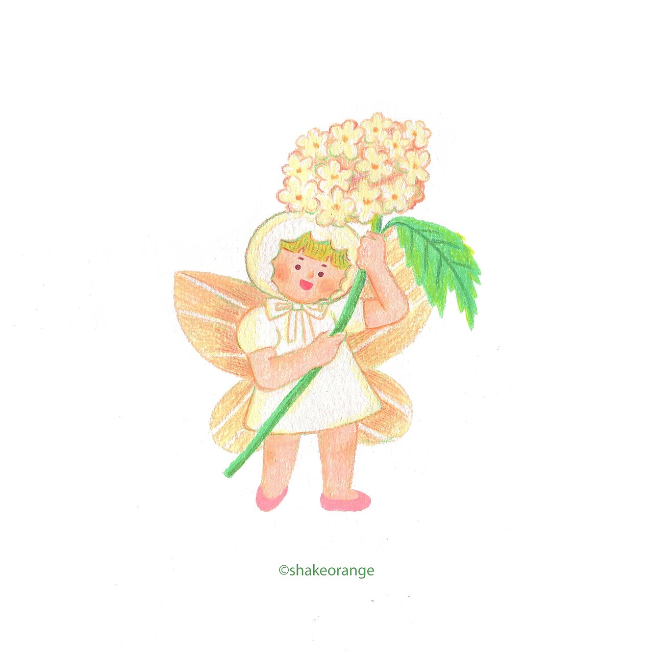 春天的小精灵们