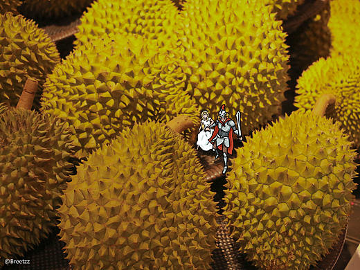 榴莲森林和骑士与火龙（个人主页-ZMzI2Mjc1MTY=） - 儿童插画 - 站酷设计师Breetzz原创素材 - 站酷ZCOOL