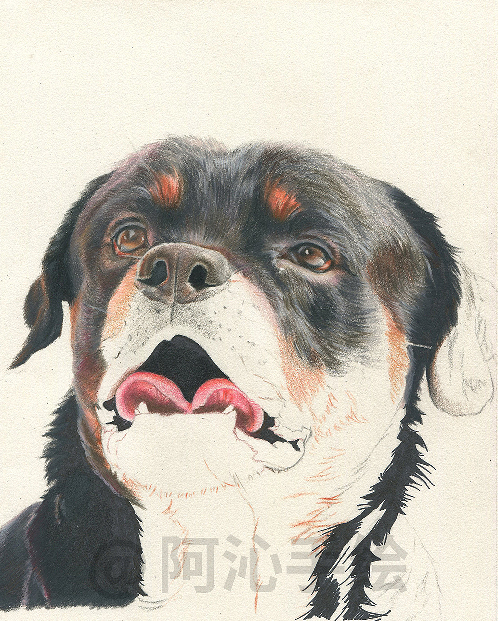 在创作中 活出自己的本来面目