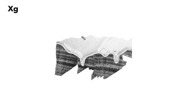 品牌创意蜂蜜包装设计（图ZOTY2MjM2NDQ=） - 包装 - 站酷设计师Designup原创素材 - 站酷ZCOOL