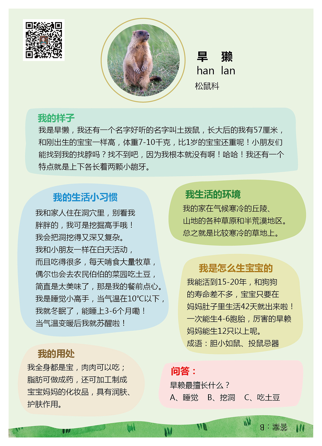 给宝宝画的动物单词图卡（上）