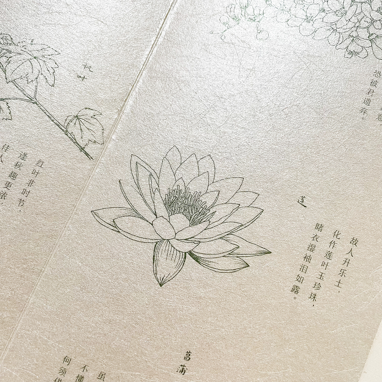 蜻蛉日记/书籍设计 封面设计 书籍装帧 印刷工艺