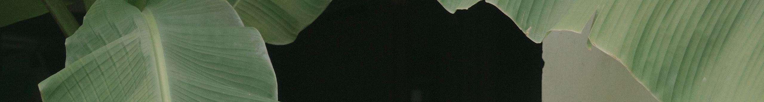 张兔兔牙的个人主页（封面预览） - 主页封面设置 - 站酷设计师张兔兔牙原创素材 - 站酷ZCOOL