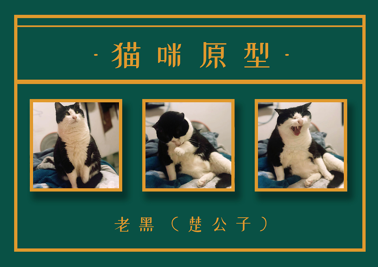 遇见猫系列-午后红茶