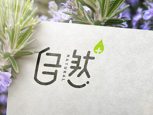 正本设计｜自然+生态水 LOGO设计