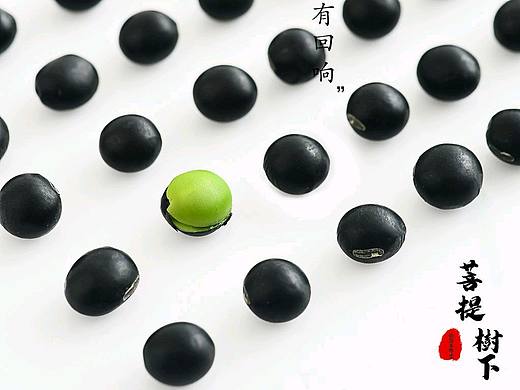 黑豆
