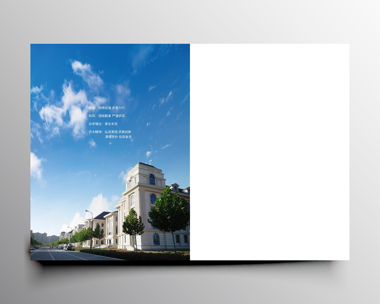 近期作品整理-河南农业大学画册（图ZMTYyMDk4NDY0） - 书籍/画册 - 站酷设计师丷似水年华丶原创素材 - 站酷ZCOOL