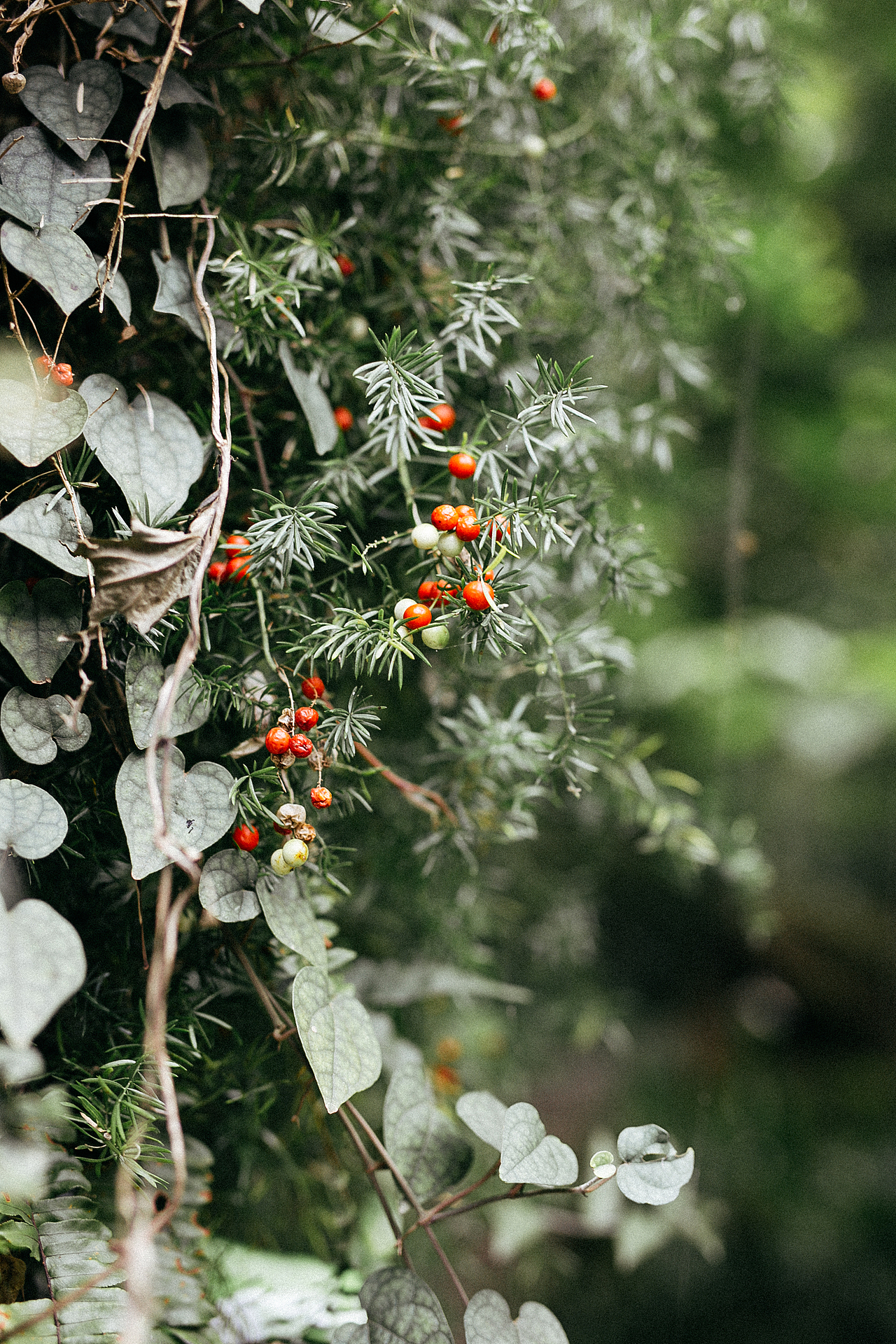 台湾纪——九份