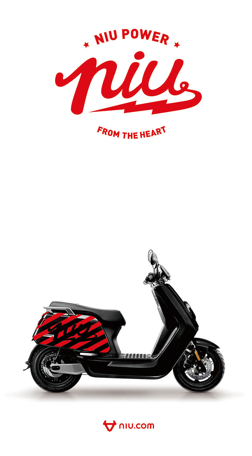 斜条纹透底小牛电动车贴