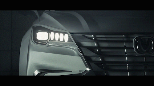 暴龙兽的2021年度总结