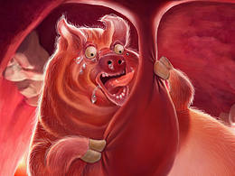 一只猪的飞机稿