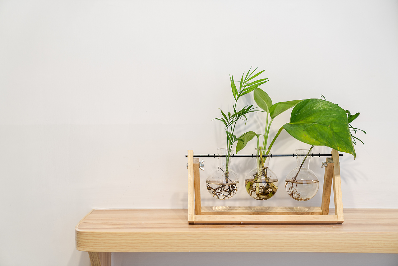 城市轻奢民宿建筑室内空间摄影