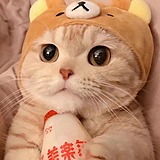 阿啾鸭的头像