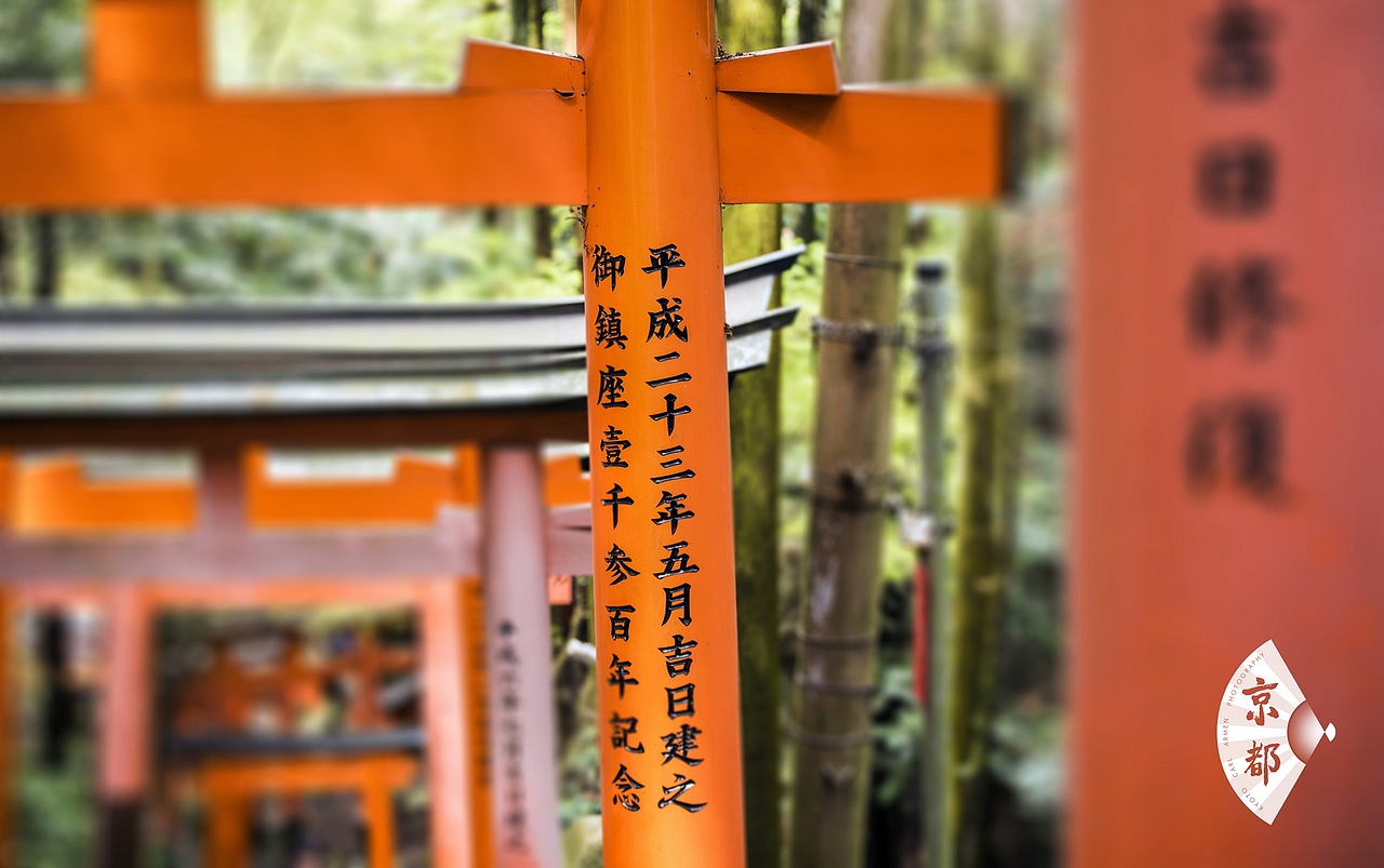 千本鸟居，我就不重复大家拍过无数次的构图了。