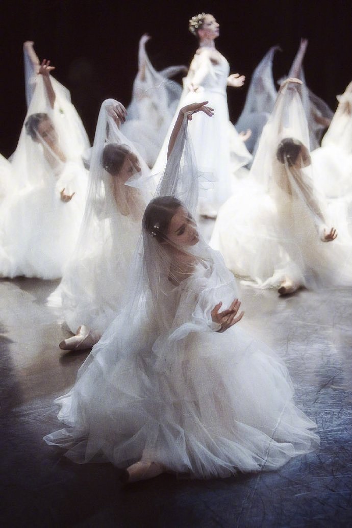 一组婚纱芭蕾海报素材分享|法式古典👰