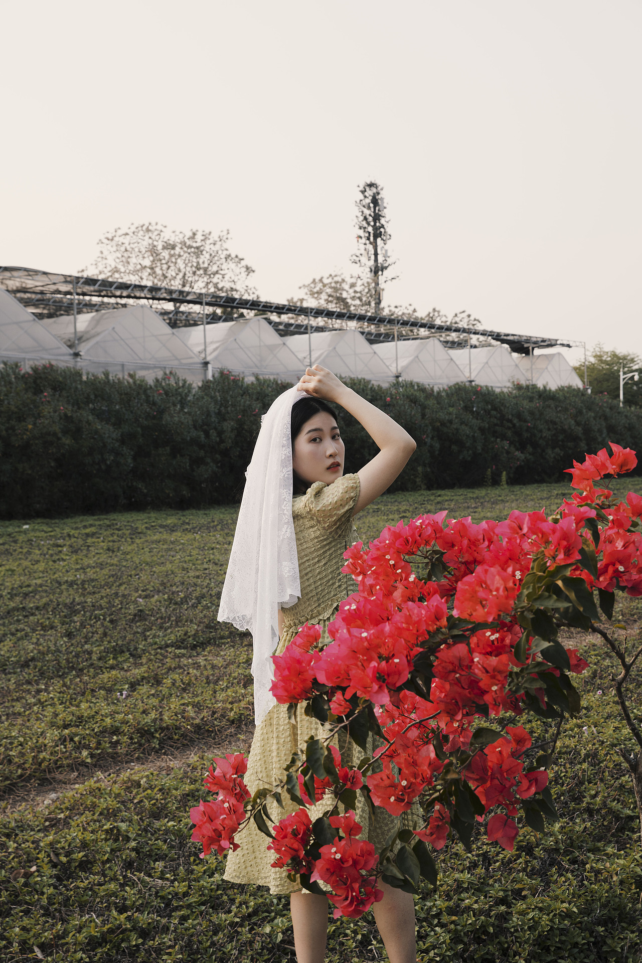 人像摄影 三角梅花海复古情绪写真