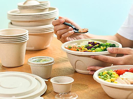 环保纸浆餐盒一次性餐具打包碗宝贝产品详情页设计编辑