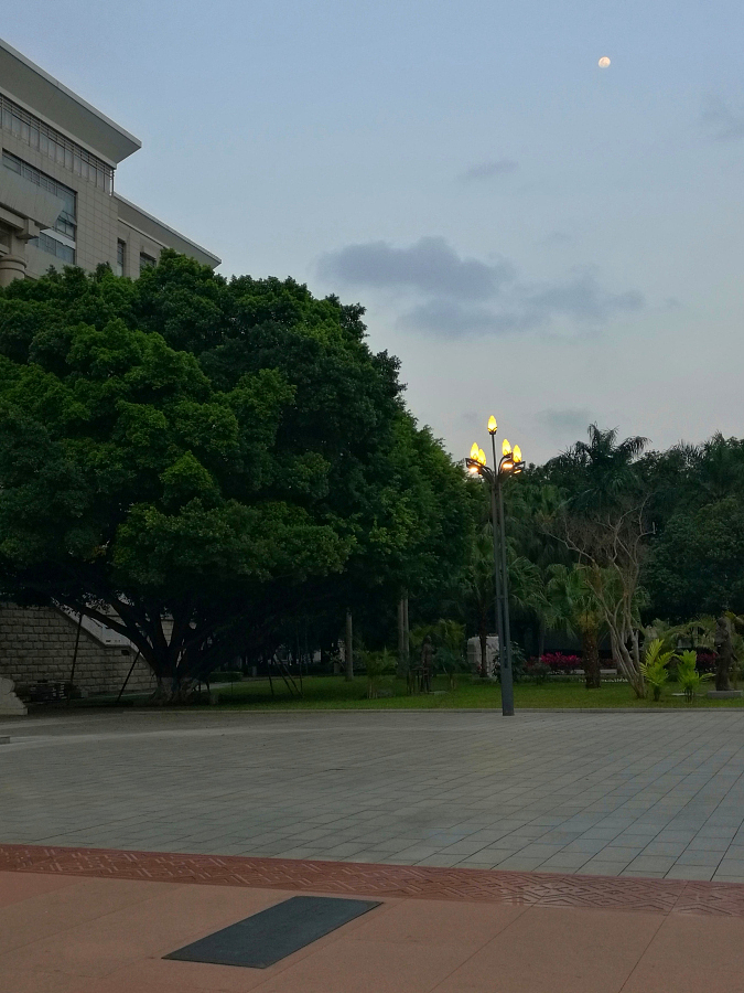 等待开学的校园