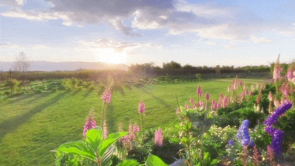 童装视频x3童装摄影童装主题视频作品集馋嘴狗乐趣文化