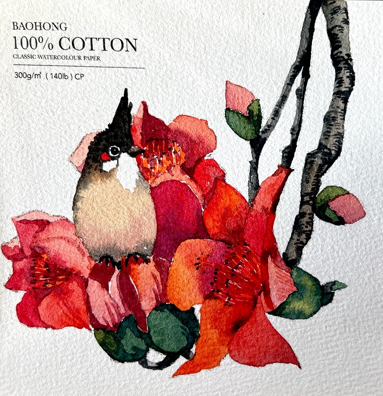 水彩花鸟插画第二弹(方形