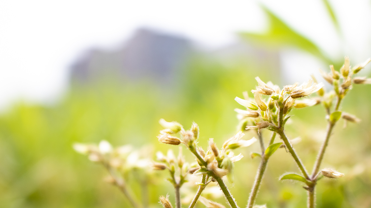 【杭州】杭州随拍