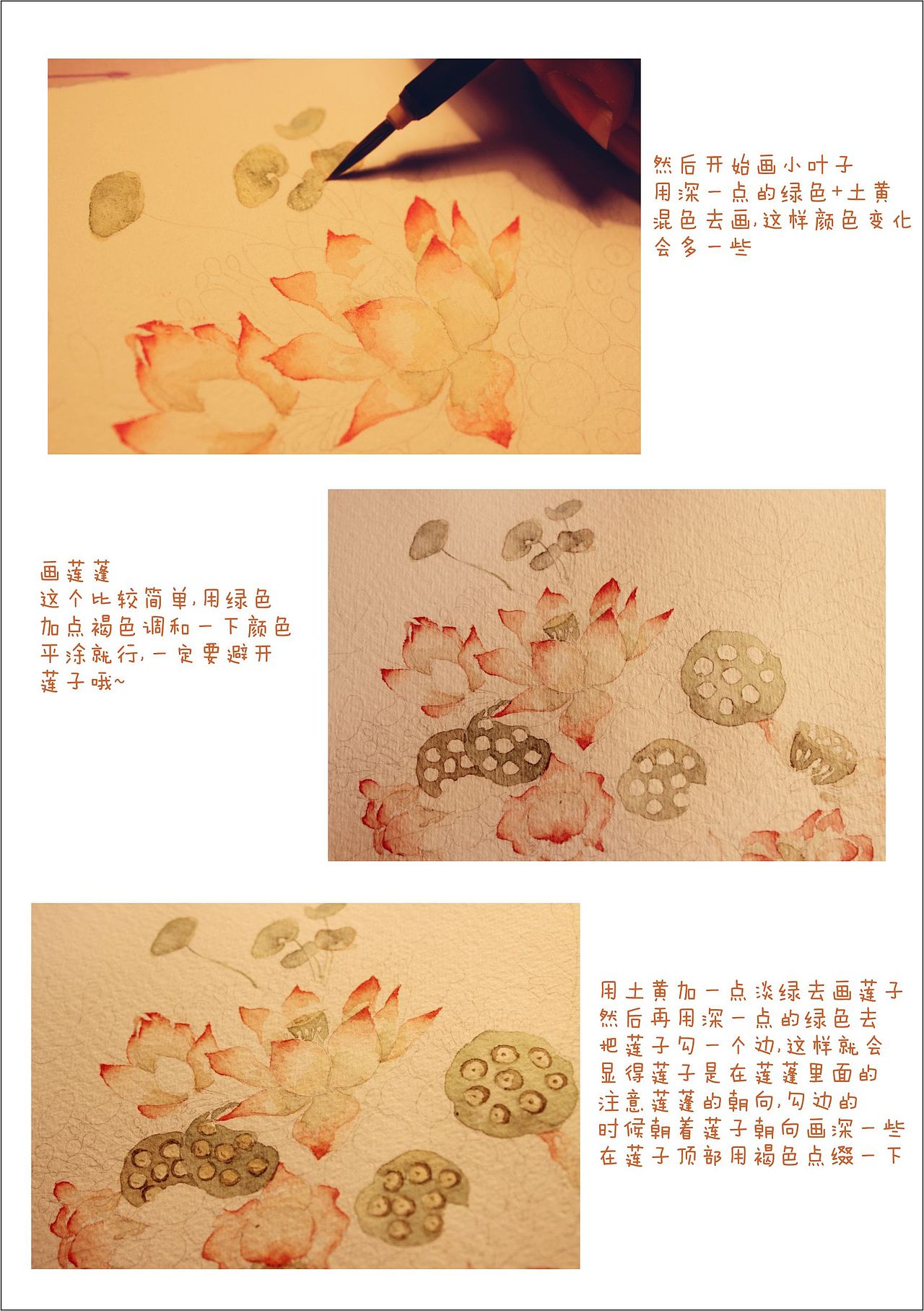 森林系莲花（附过程）（图ZMzU0NjAwNjQ=） - 商业插画 - 站酷设计师瑶背背原创素材 - 站酷ZCOOL
