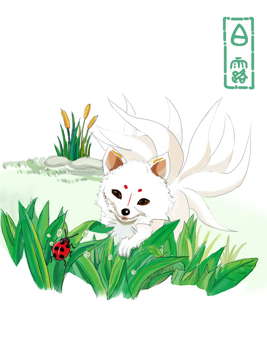 白露,节气,九尾狐